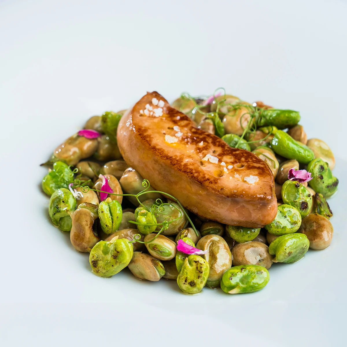 Emplatado foie gras fresco Martiko